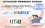 UTİCAday Tanıtım: UTİC'e Özel Burs