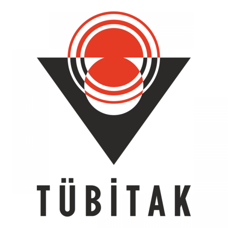 2025-2026 TÜBİTAK 2209-A Projelerimiz